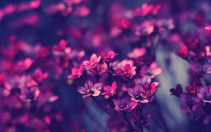 Psychic Readings &amp; Spiritual Services Banner